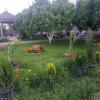 Guesthouse Anila