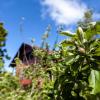 Chalet Pico das Pedras