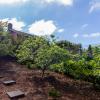 Chalet Pico das Pedras