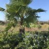 Finca El Idilio