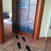 Al Nove e TreQuarti