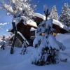 Meribel Altitude1600 accès direct aux pistes 6 personnes