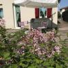 Bed & Breakfast Canova