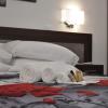 B&B Vicomare