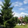 Martha Residence