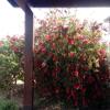 Casa Nerelie'S