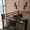 Nissaki Guesthouse