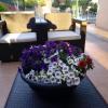 Apartamentos Cormoran