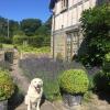 Lower House Farm B&B, Herefordshire