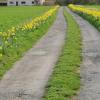 FIELDVIEW FARMHOUSE BED AND BREAKFAST