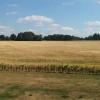 FIELDVIEW FARMHOUSE BED AND BREAKFAST
