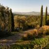 Via Vicarello 1, Poggi del Sasso 58044, Cinigiano, Grosseto, Tuscany, Italy.