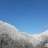 Casă de vacanţă ,,La Vălucu