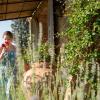 Villa San Sanino - Relais in Tuscany