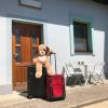 Apartments Avram