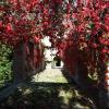 Giardino Donna Lavia