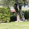 Bed & Breakfast Mafi