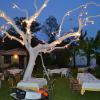 Hostal El Cardenillo