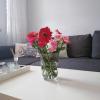 Apartment Oświęcim klimatyzowany