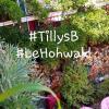 Tilly's B&B and apartment house