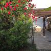 Guest House Dobrev