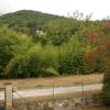 les noyers