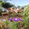 B&B Domus Deiana