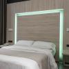 Plaza Goya Rooms