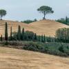 Località Armena, Buonconvento, 53022, Tuscany, Italy.