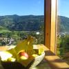 Panorama Apartment Bauernhof Mandl