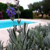 Holiday Home Villa Emma