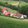 Haflingerhof Luef