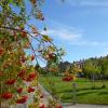 APARTMENTSUITESPAIN FORMIGAL ORDESa