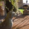 Buckland, Near Broadway, Worcestershire, WR12 7LY, England.