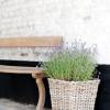 Cour 8 Lofts