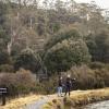 4038 Cradle Mountain Road, Cradle Mountain, Tasmania 7306, Australia.