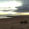 Quarteira Beach Holidays