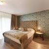 Art Hotel Superior