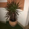 Sun Place Guest House