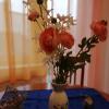 APARTMAN NENA