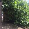 Le Moulin de Champagne