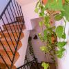Hostal Rural La Fonda Del Rocio