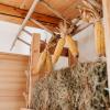 Maso Del Fieno con Sauna Privata e Vista Unica