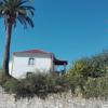 Casa da Palmeira