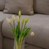 Apartment Anna - FREE Pickup from OR Dropoff to Zagreb airport AT ANY TIME, please give three days advance notice - Long-term parking with airport transport possibility