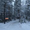 Tunturioravat