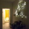 Insula b&b