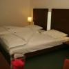 Hotel Auerhahn