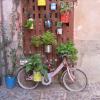 B&B Da Antonella