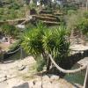 Olinda Home